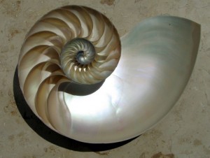 twist
