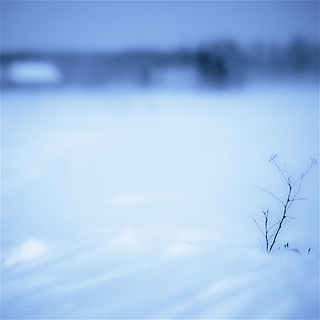 winter landscape