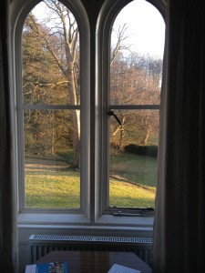 Room with a view