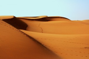 footprints in the desert