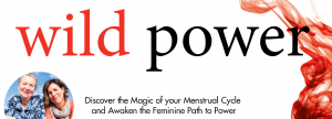 Read more about the article Wild Power – the feminine path to power