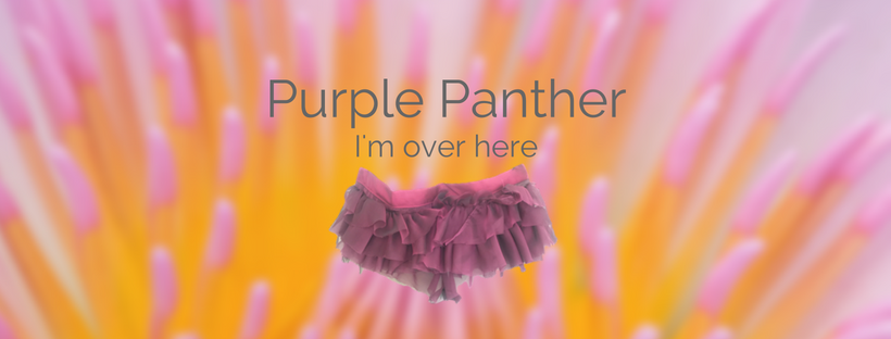 Read more about the article Purple Panther