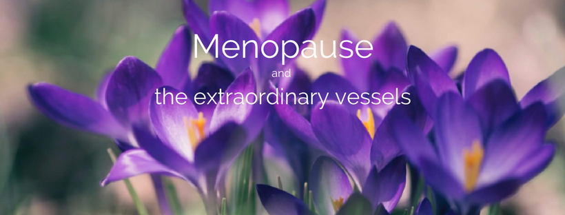 Read more about the article Menopause and the Extraordinary Vessels