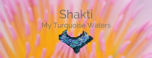 Read more about the article My Turquoise Waters by Shakti