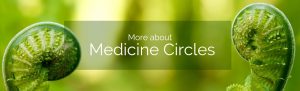 Read more about the article Medicine Circles