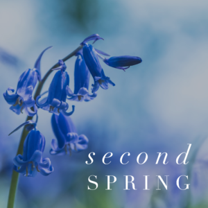 second-spring