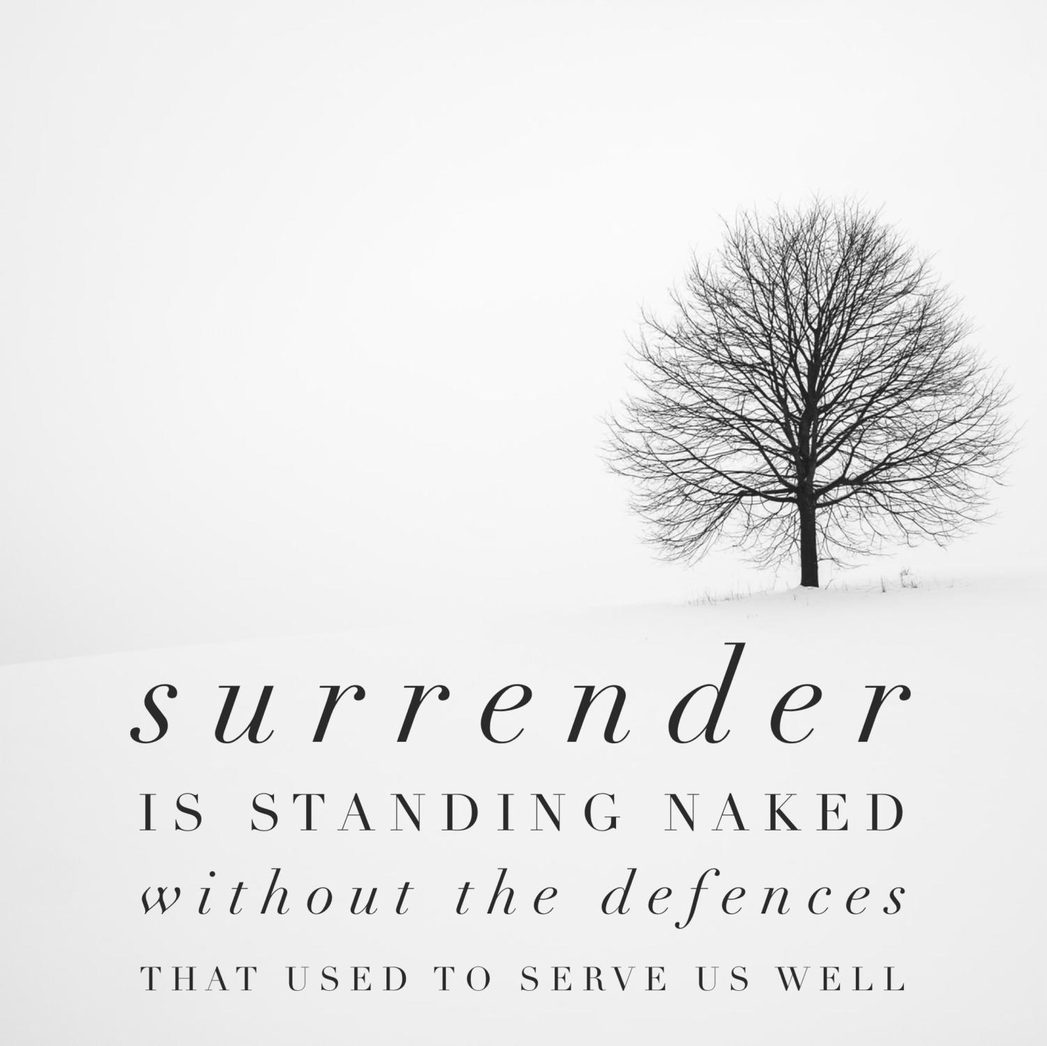 You are currently viewing Surrender – the Second Phase of Menopause