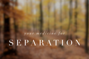 Read more about the article Self-help for Perimenopause