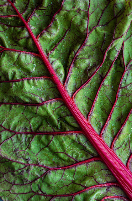 chard