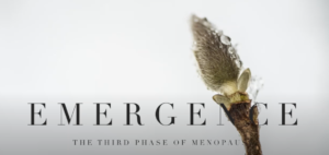 Read more about the article Emergence, the Third Phase of Menopause