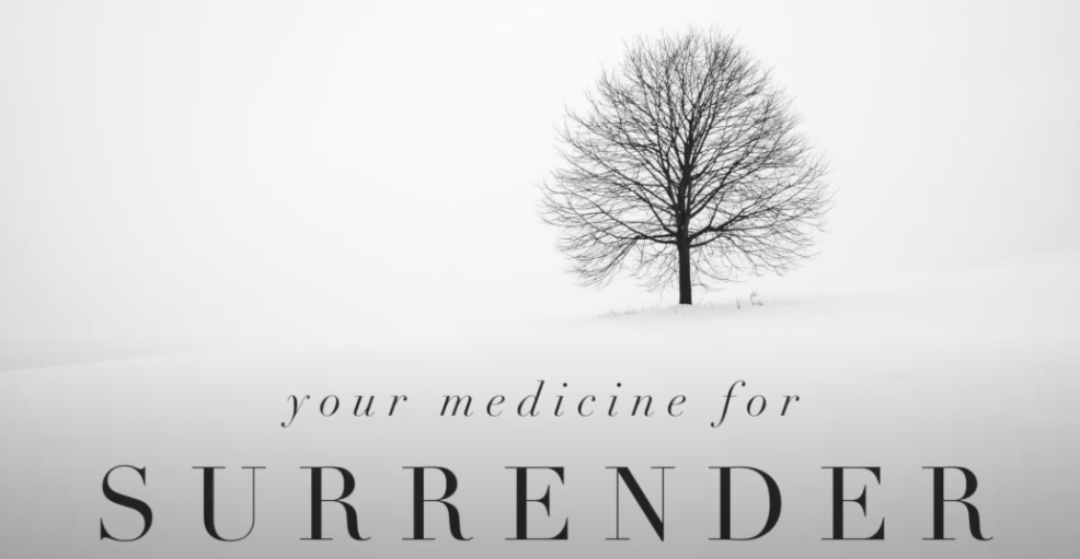 Read more about the article Self-help for Surrender, the Second Phase of Menopause
