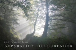Read more about the article How to Move From Separation to Surrender in Menopause