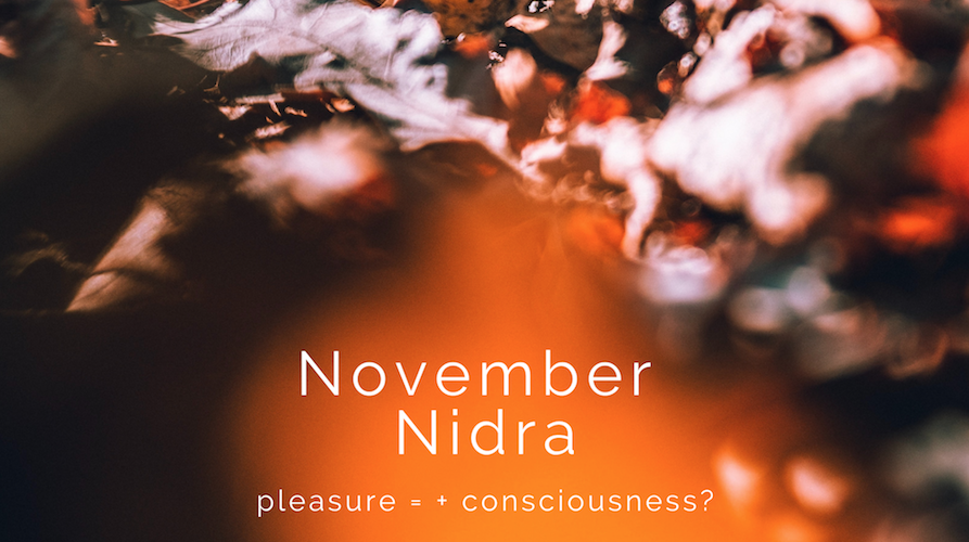 Read more about the article November Nidra – pleasure =  + consciousness?