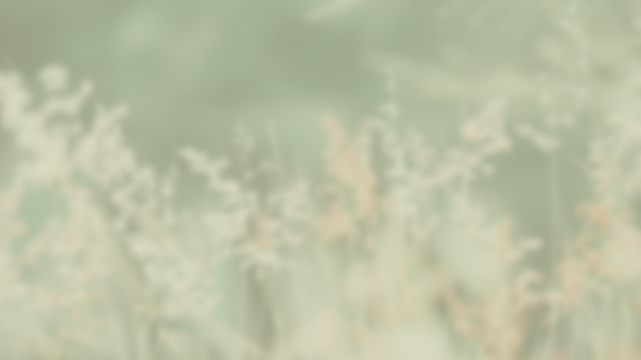 grasses
