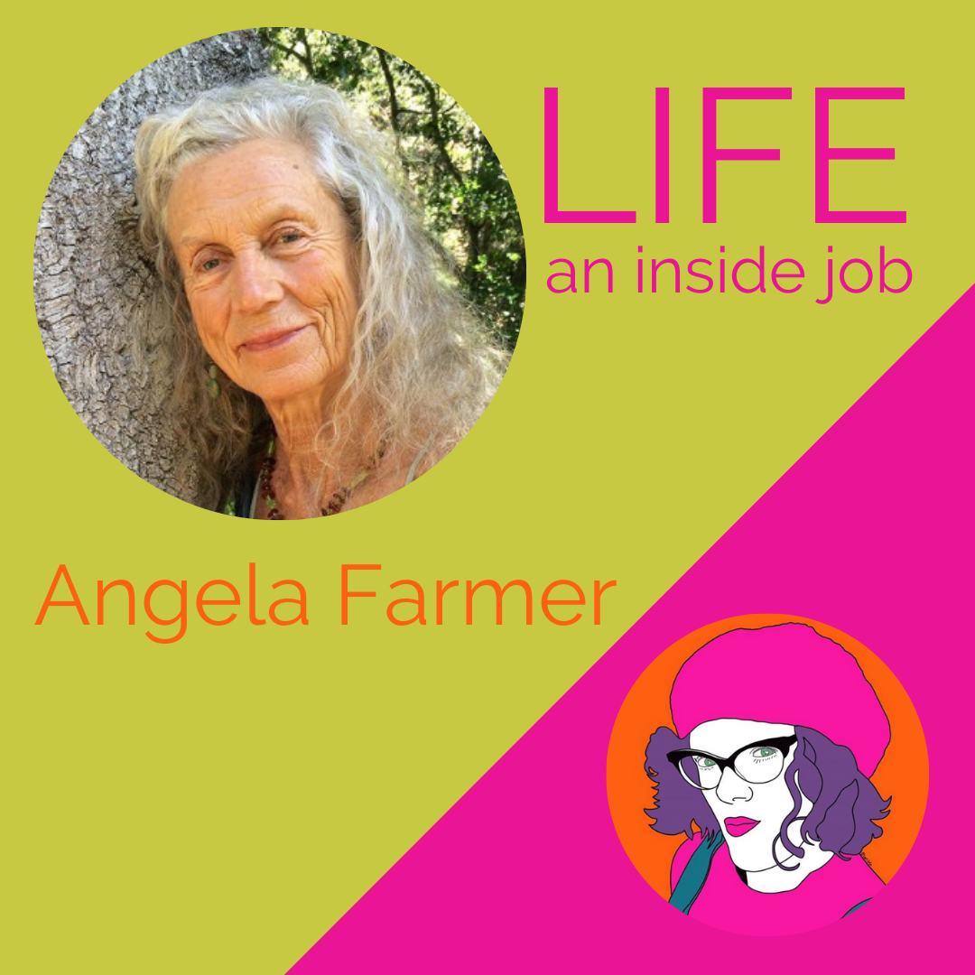 Read more about the article Angela Farmer on Life – An Inside Job