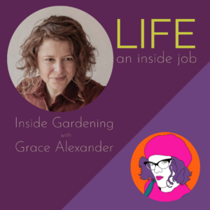 Read more about the article Inside Gardening with Grace Alexander