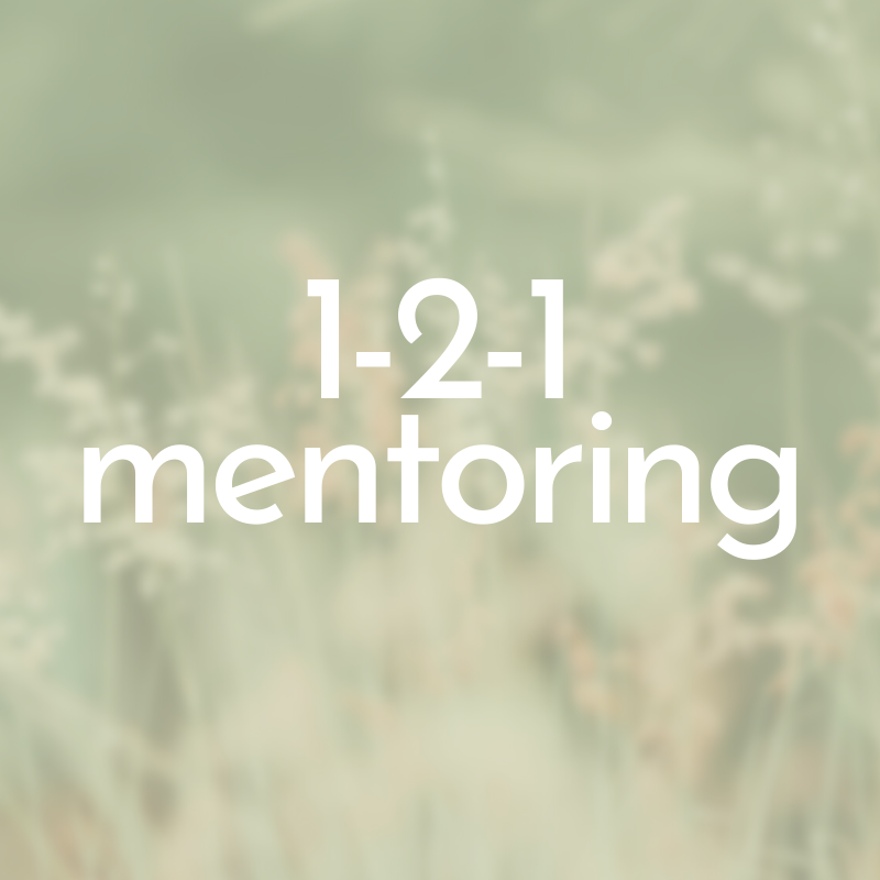 menopause-mentoring-1-2-1