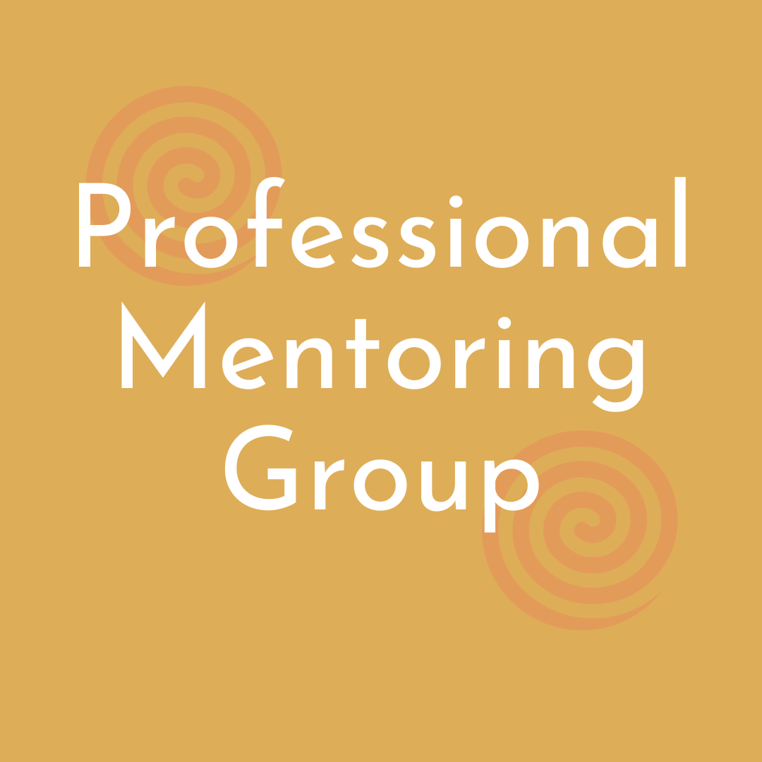 Profesional Mentoring Group