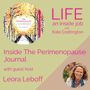 Read more about the article Inside The Perimenopause Journal